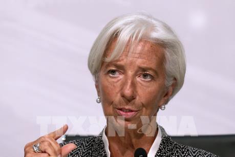 Các nước châu Phi tìm kiếm nguồn tài trợ từ IMF