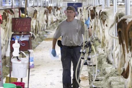 USMCA sẽ tác động đến ngành sữa của Canada