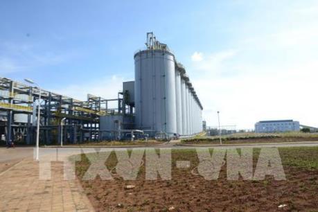 Alumin Nhân Cơ nâng sản lượng kế hoạch lên 650.000 tấn
