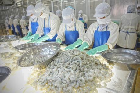 Xuất khẩu thuỷ sản “rộng cửa” ở thị trường Mỹ