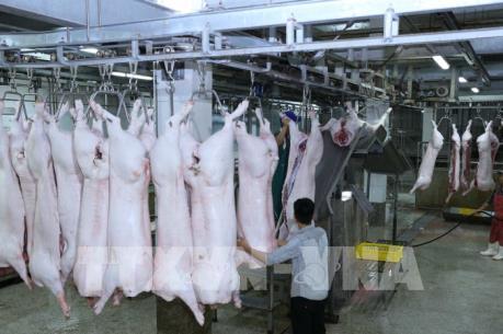 TP. Hồ Chí Minh: Tăng giá thịt lợn thuộc chương trình bình ổn thị trường