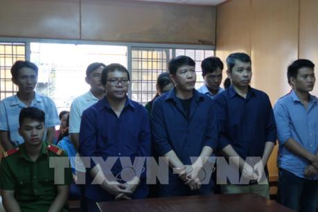 Tp.Hồ Chí Minh: Băng nhóm đưa hối lộ, bán logo "xe vua" nhận án tù