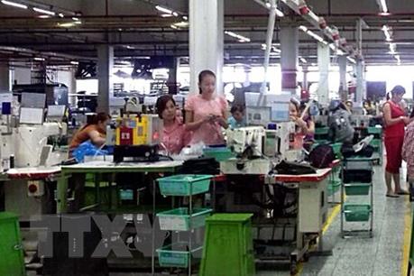  Nhức nhối lao động hết hạn hợp đồng không về nước