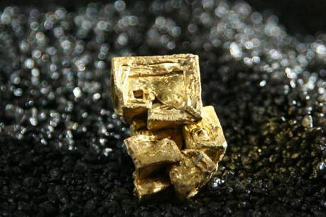 Giá vàng hôm nay 8/10 biến động nhẹ