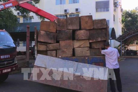 Bắt giữ hơn 30 m3 gỗ lậu tại Đắk Lắk