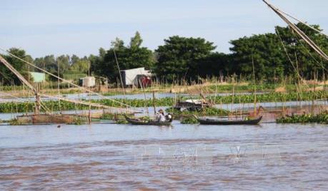 Nông dân Kiên Giang thu nhập tăng nhờ lũ