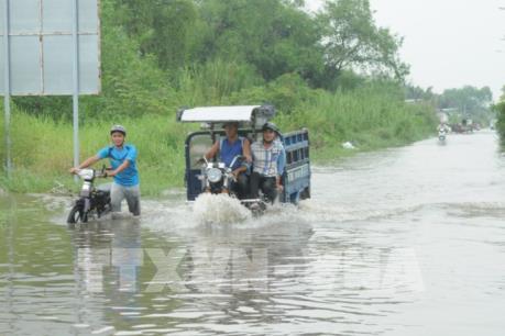 TP Hồ Chí Minh: Hơn 40 điểm ngập, cây đổ làm người đi đường tử vong