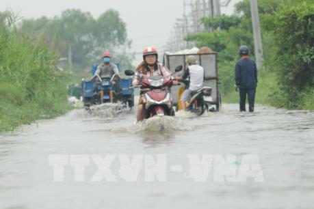 TP Hồ Chí Minh: Nguy cơ cao mưa lớn kết hợp triều cường gây ngập lụt