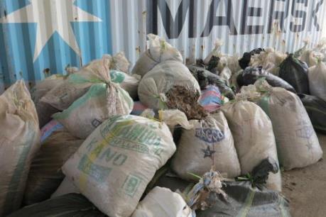 Thu giữ gần 1,4 tấn vảy tê tê và hơn 100 kg ngà voi