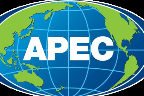 An ninh nước ngoài được sử dụng vũ khí nóng để bảo vệ các lãnh đạo APEC