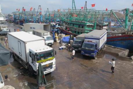 Chồng chéo quy hoạch cảng tại Quy Nhơn - Bài 1: San lấp mặt nước, tàu thuyền neo đậu khó