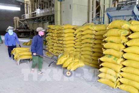 Đưa thương mại hai chiều Việt Nam - Ấn Độ lên 15 tỷ USD