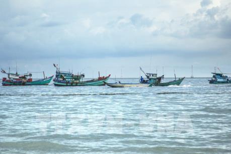 Quảng Bình ngăn chặn, giảm thiểu khai thác thủy sản bất hợp pháp
