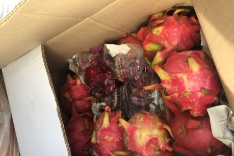 Kho lạnh bốc cháy, hơn 200 tấn thanh long hư hỏng hoàn toàn