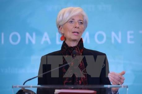 IMF bảo vệ quyết định nâng lãi suất của các ngân hàng trung ương