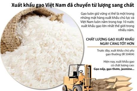 Xuất khẩu gạo Việt Nam đã chuyển từ lượng sang chất
