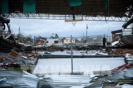 Ít nhất 6 người thiệt mạng do bão Michael