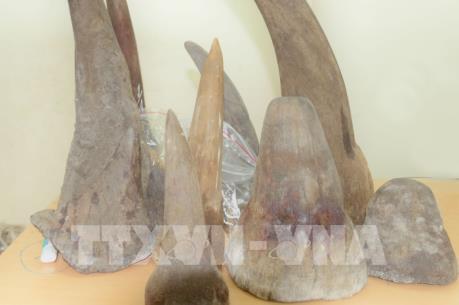 Cận cảnh lô hàng nghi là sừng tê giác vận chuyển từ Nam Phi về Việt Nam