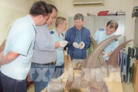 Phát hiện kiện hàng nghi sừng tê giác gửi từ Nam Phi về Việt Nam