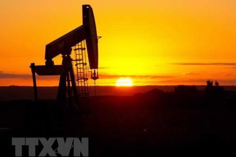 Cơ quan Năng lượng Quốc tế hạ dự báo nhu cầu dầu mỏ