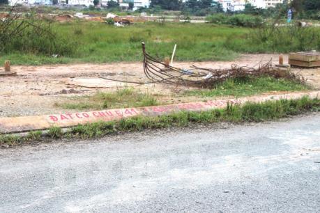 Phó Thủ tướng chỉ đạo xử lý dứt điểm vi phạm quản lý đất đai tại Thạch Thất, Hà Nội