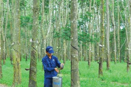 DPR trả tiếp cổ tức đợt 3/2017