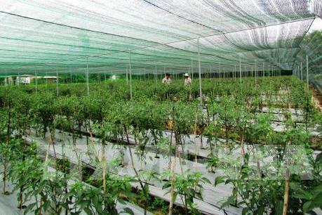 PAN dự kiến phát hành 34 triệu cổ phiếu thưởng