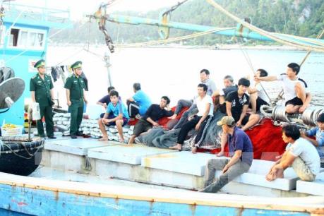 Nghệ An cứu nạn thành công tàu cá cùng 18 thuyền viên bị nạn trên biển