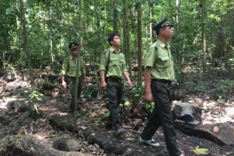 Những thay đổi đột phá trong quản lý rừng