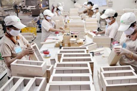 TTF dự kiến thực hiện sáp nhập doanh nghiệp cùng ngành