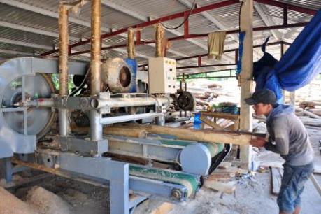 Chứng chỉ nguyên liệu gỗ - Bài 1: Chủ động nguyên liệu hợp pháp