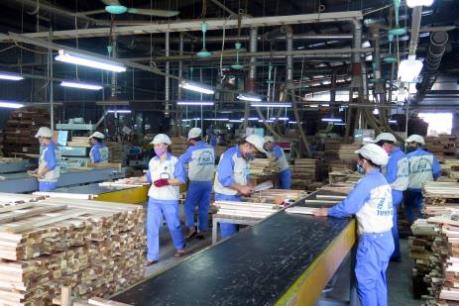 Chứng chỉ nguyên liệu gỗ - Bài cuối: Chiến lược mới để phát triển