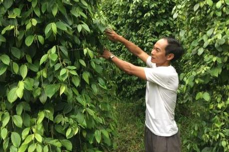 Những tỷ phú "chân đất" với vốn rẻ