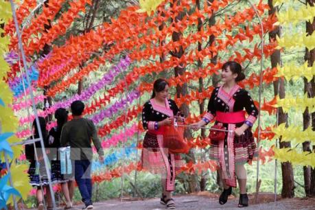 Hàng nghìn du khách đến tham quan Khu Du lịch sinh thái Đồi Thông