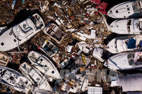 Mỹ: ít nhất 27 người thiệt mạng vì bão Michael 