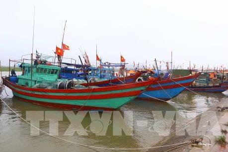 Khắc phục "thẻ vàng" IUU - Bài 1: Gỡ vướng khâu xác nhận nguồn gốc nguyên liệu