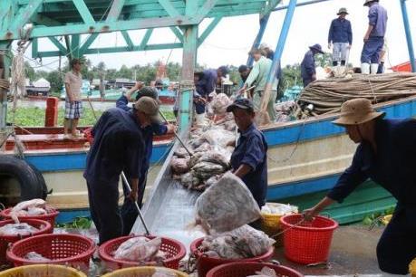 Khắc phục "thẻ vàng" IUU - Bài 2: Hướng tới xây dựng nghề cá bền vững