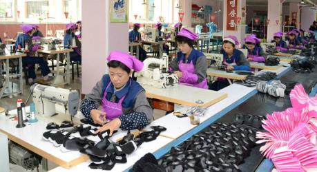 Hàn Quốc: Năng suất lao động của doanh nghiệp nhỏ và vừa thấp nhất OECD
