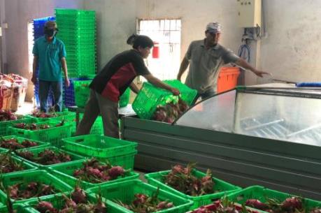 Tạo chuỗi liên kết để nông nghiệp phát triển bền vững