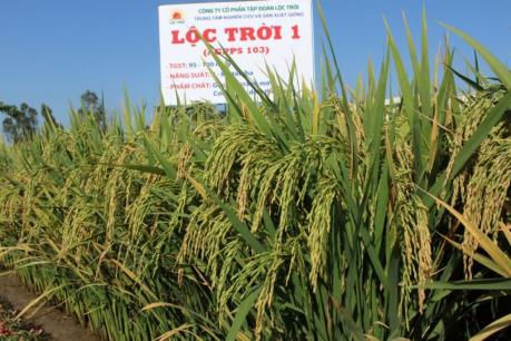 LTG chốt danh sách trả cổ tức tỷ lệ 40%