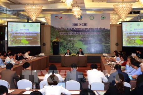 Đã thu được hơn 10.000 tỷ đồng dịch vụ môi trường rừng