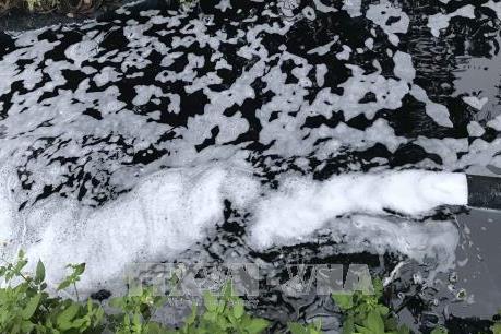 Tạm dừng hoạt động Công ty Delta Galil Việt Nam vì xả thải gây ô nhiễm