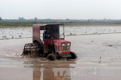 Rà soát các công trình thủy lợi chuẩn bị lấy nước vụ Đông Xuân