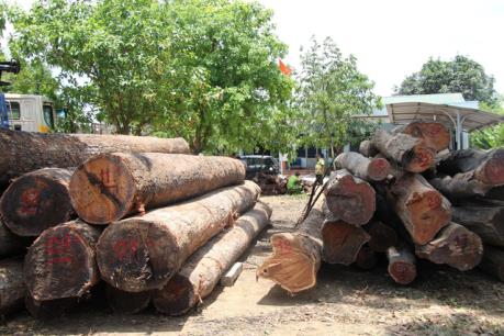 Điện Biên: Đối tượng chở gỗ lậu lao xe vào lực lượng chức năng