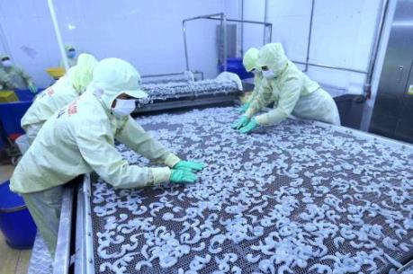 Cơ hội nào cho nông sản từ CPTPP?