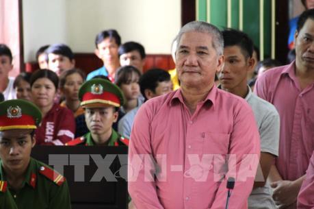 81 năm tù cho các bị cáo trong vụ phá hơn 64 ha rừng ở Bình Định