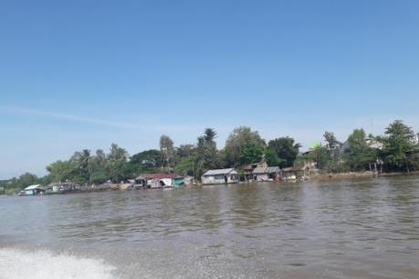 Vùng đầu nguồn sông Tiền chuyển đổi cây trồng, chung sống với lũ