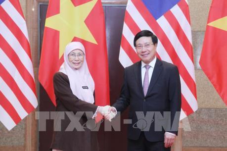 Phó Thủ tướng Phạm Bình Minh hội đàm với người đồng cấp Malaysia