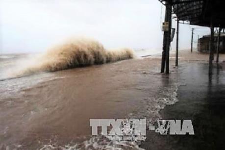 Các tỉnh, thành ven biển chủ động ứng phó với siêu bão gần Biển Đông