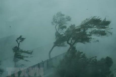 Bão số 7 sẽ suy yếu dần thành áp thấp nhiệt đới